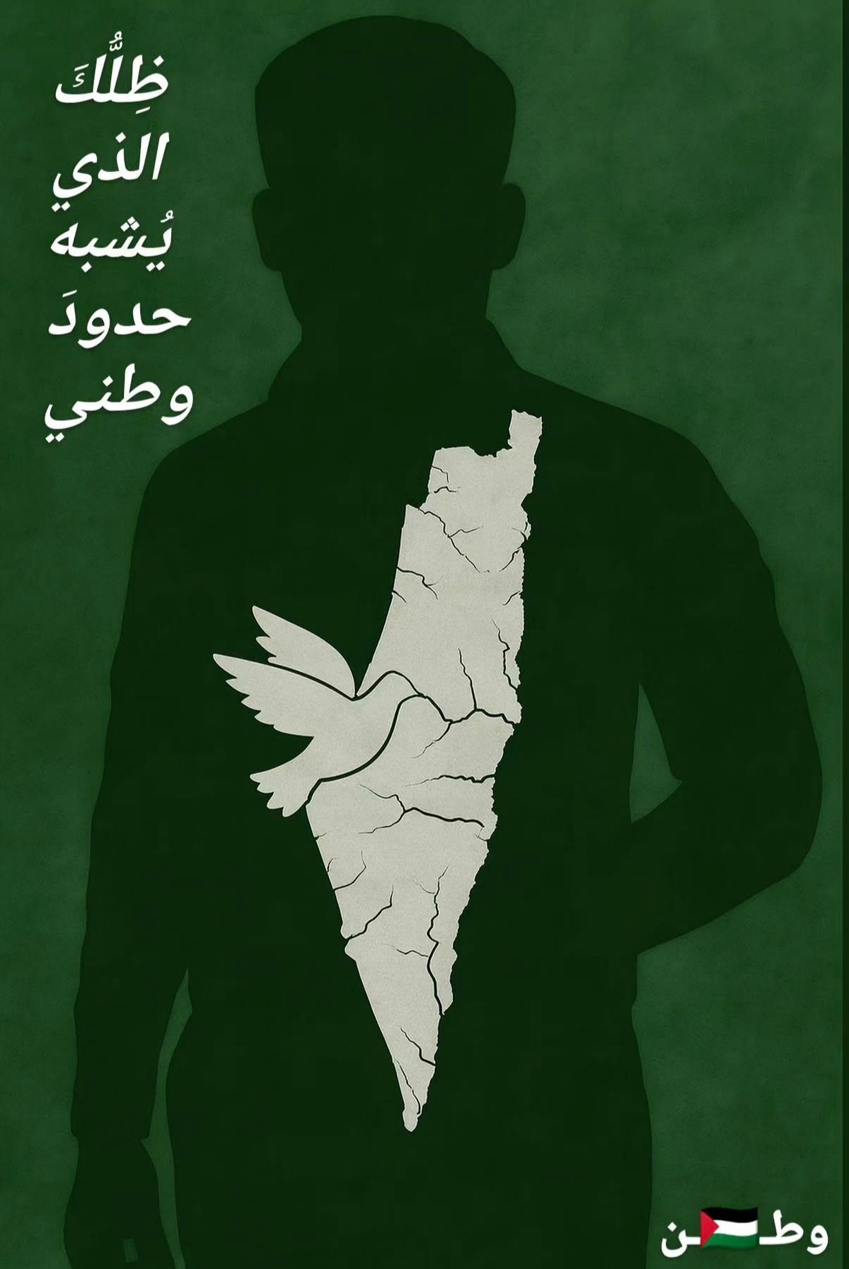 غلاف ظلك الذي يشبه حدود وطني